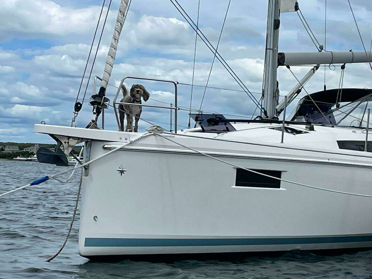 2021 Jeanneau Sun Odyssey 410 - Image 16