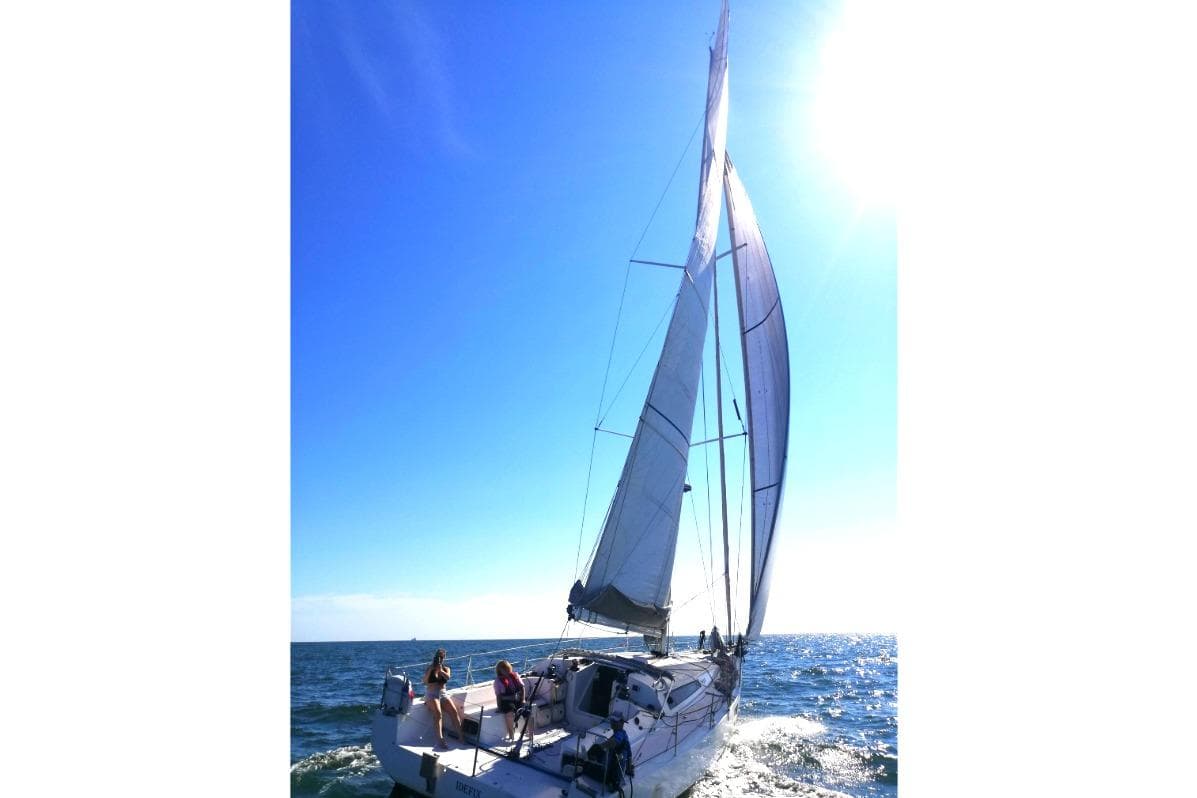 Sailing yacht Pogo 1250, 2017 model, gliding on open sea under clear blue sky.
