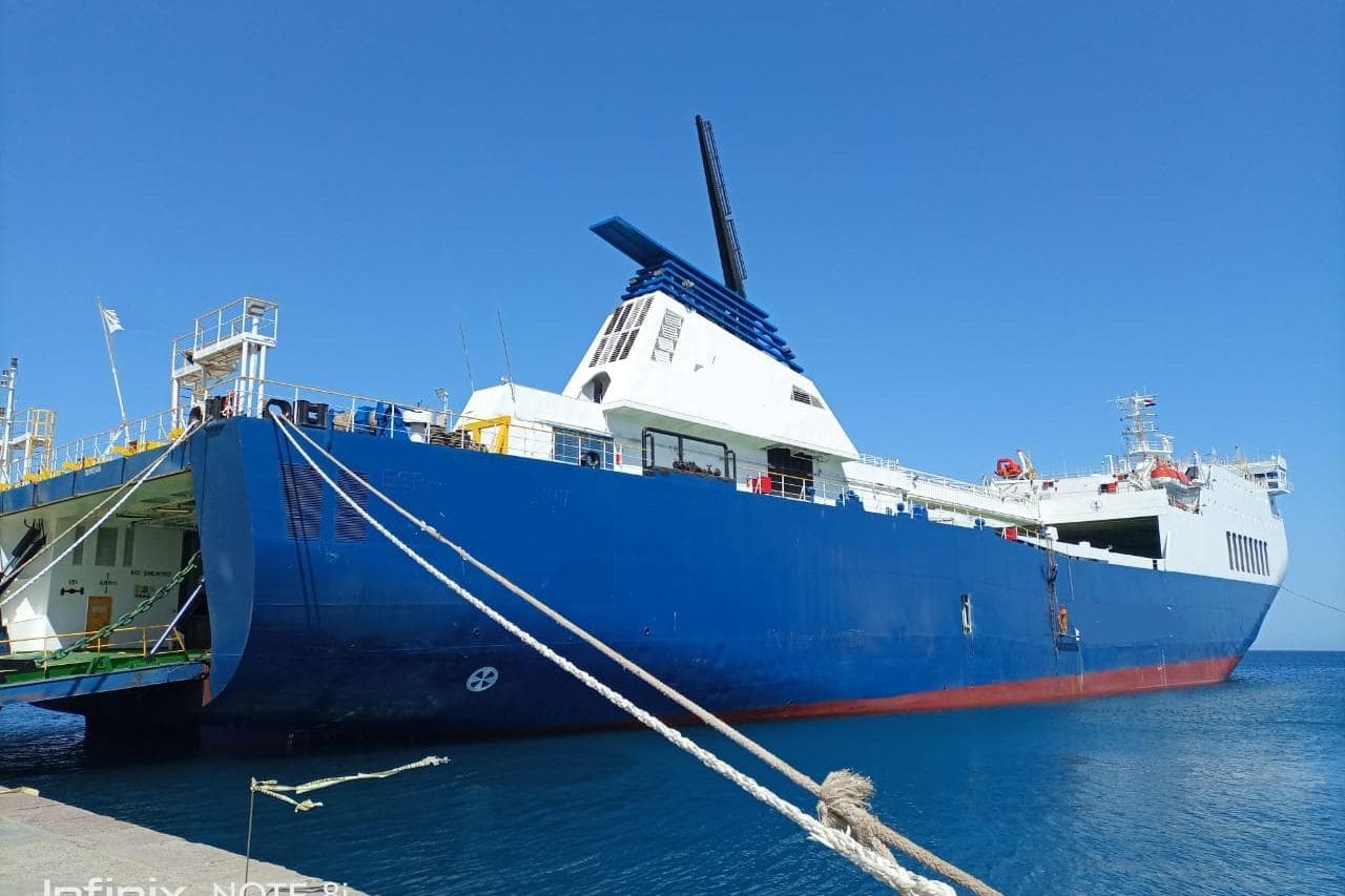 Blue Custom ROPAX ship docked at port, 1993 model, clear sky background.
