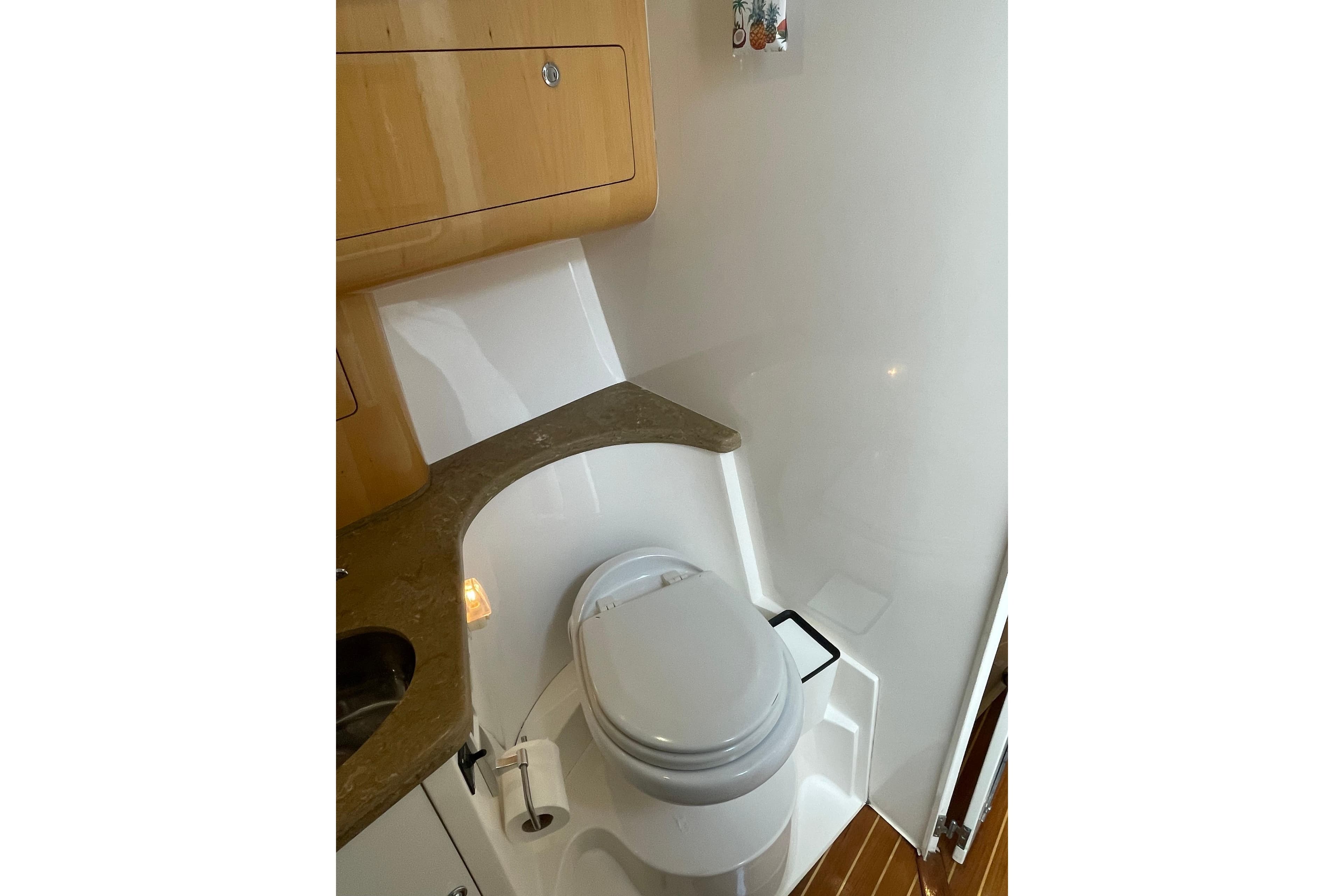 2009 Intrepid 430 Sport Yacht bathroom with modern fixtures and wooden cabinetry.