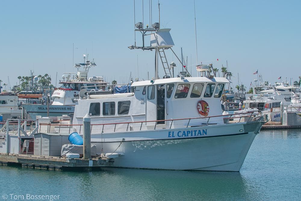 1975 Blanchard Passenger Sportfisher "El Capitan" docked in a busy marina.