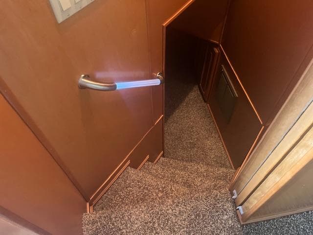 Staircase inside 2009 Horizon 18 x 85 Houseboat with carpeted steps and wooden handrail.