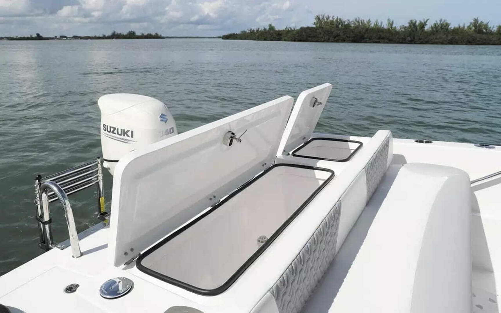 2026 Twin Vee 240 GFX DC - Image 6