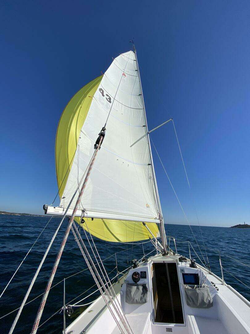2018 Catalina 275 Sport - Image 6