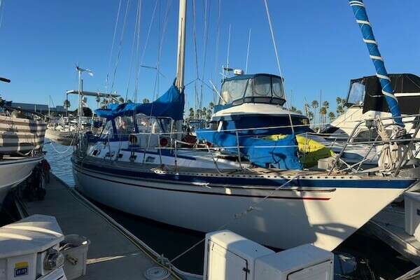 1986 Tayana V42