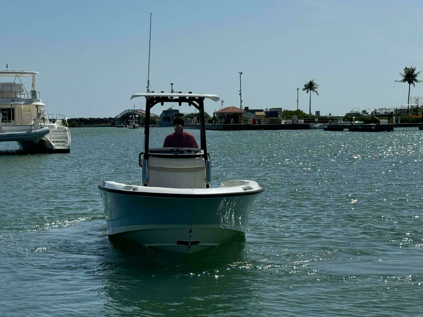 2022 Boston Whaler 250 Dauntless - Image 9