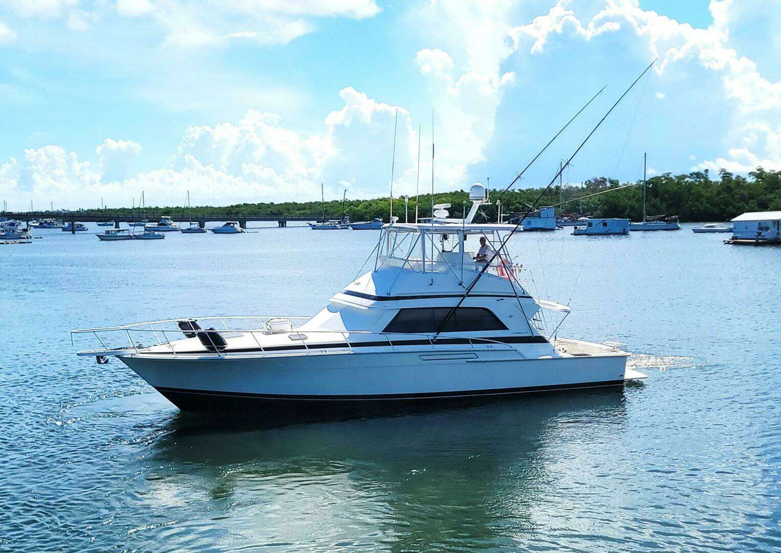 1989 Bertram 50 Convertible - Image 73
