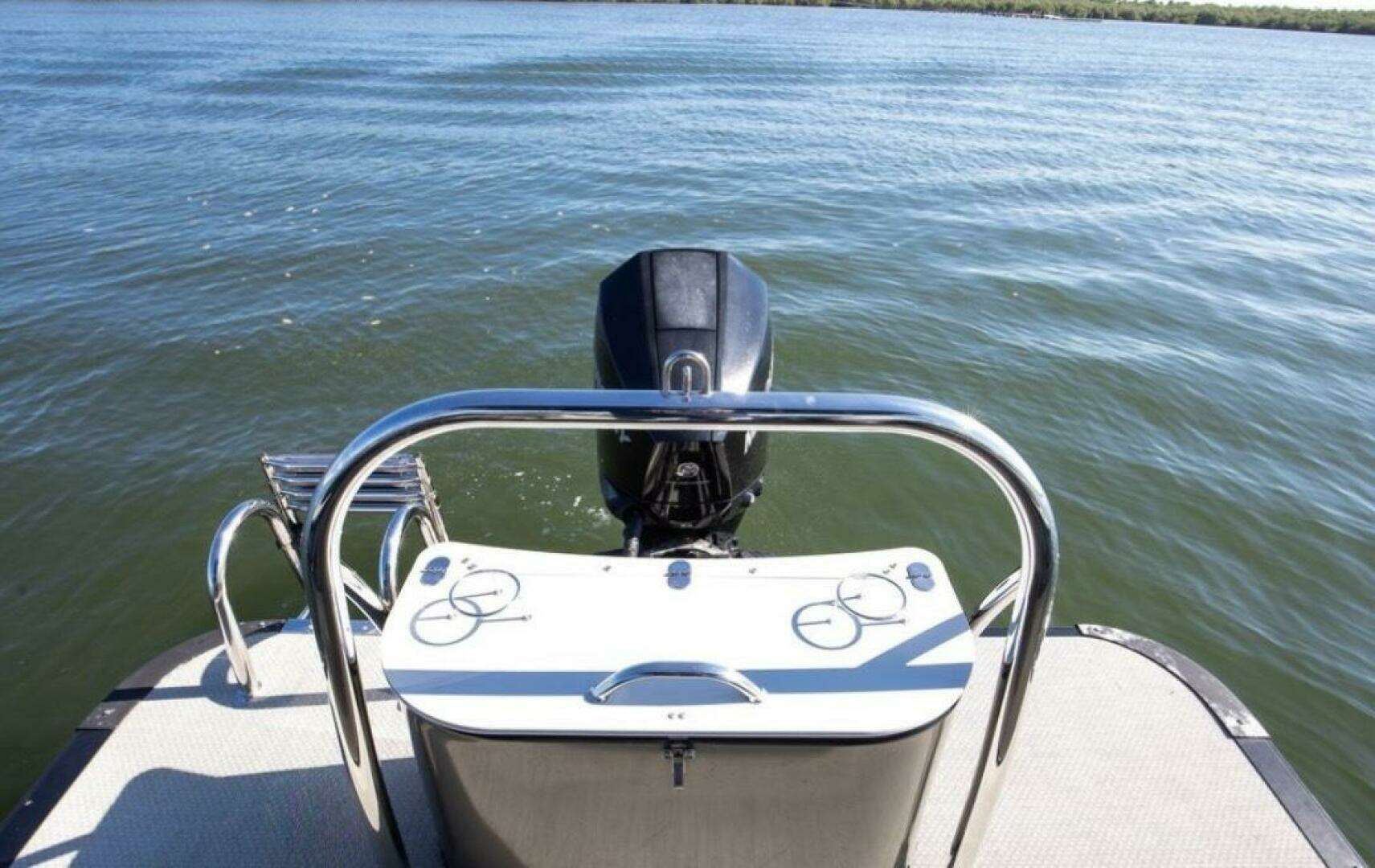 2021 Avalon LSZ Quad Lounger 24 - Image 11