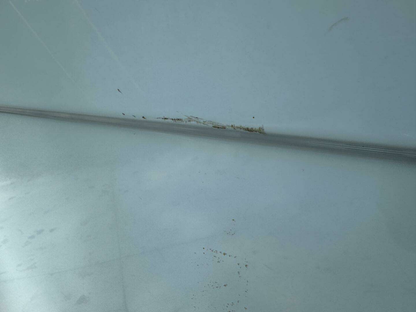 2022 Cobia 280 DC - Image 140