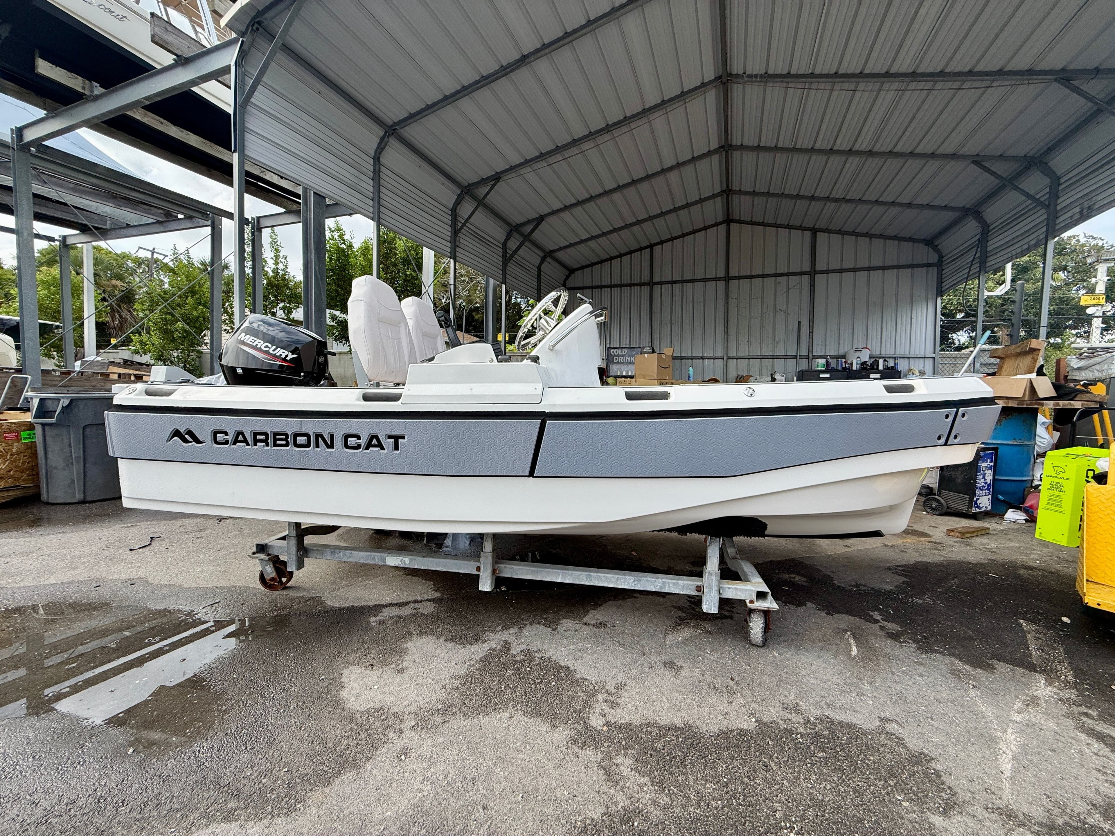 2025 Aspen Carbon Cat T11C - 4