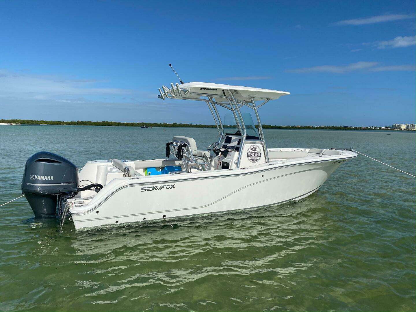 2020 Sea Fox — - Image 5