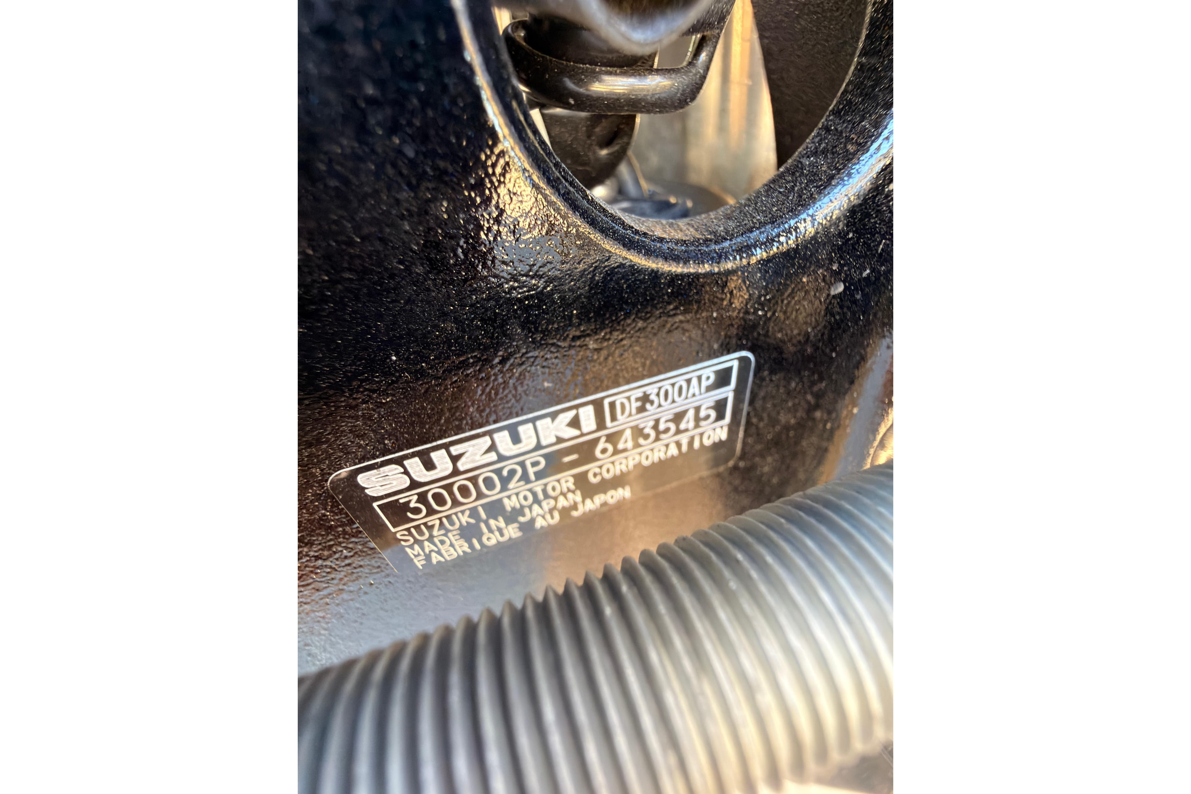 Close-up of Suzuki DF300AP engine label on Coach 243 RFC, 2026 model.
