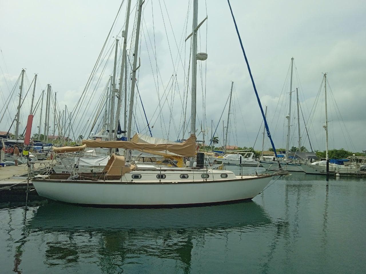 1983 Cape Dory 36 sailboat docked in a marina with other boats.