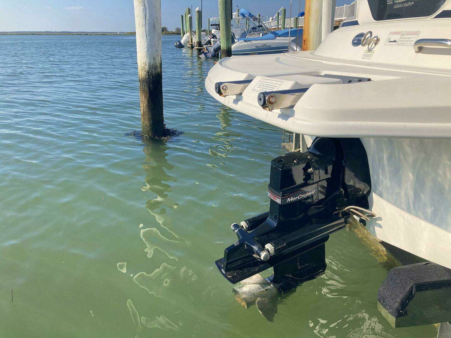 2012 Sea Ray 190 Sport - Image 11