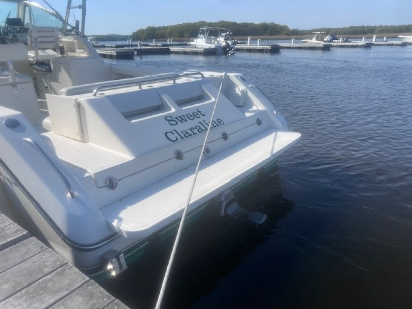 1999 Pursuit Denali 2860 - Image 14