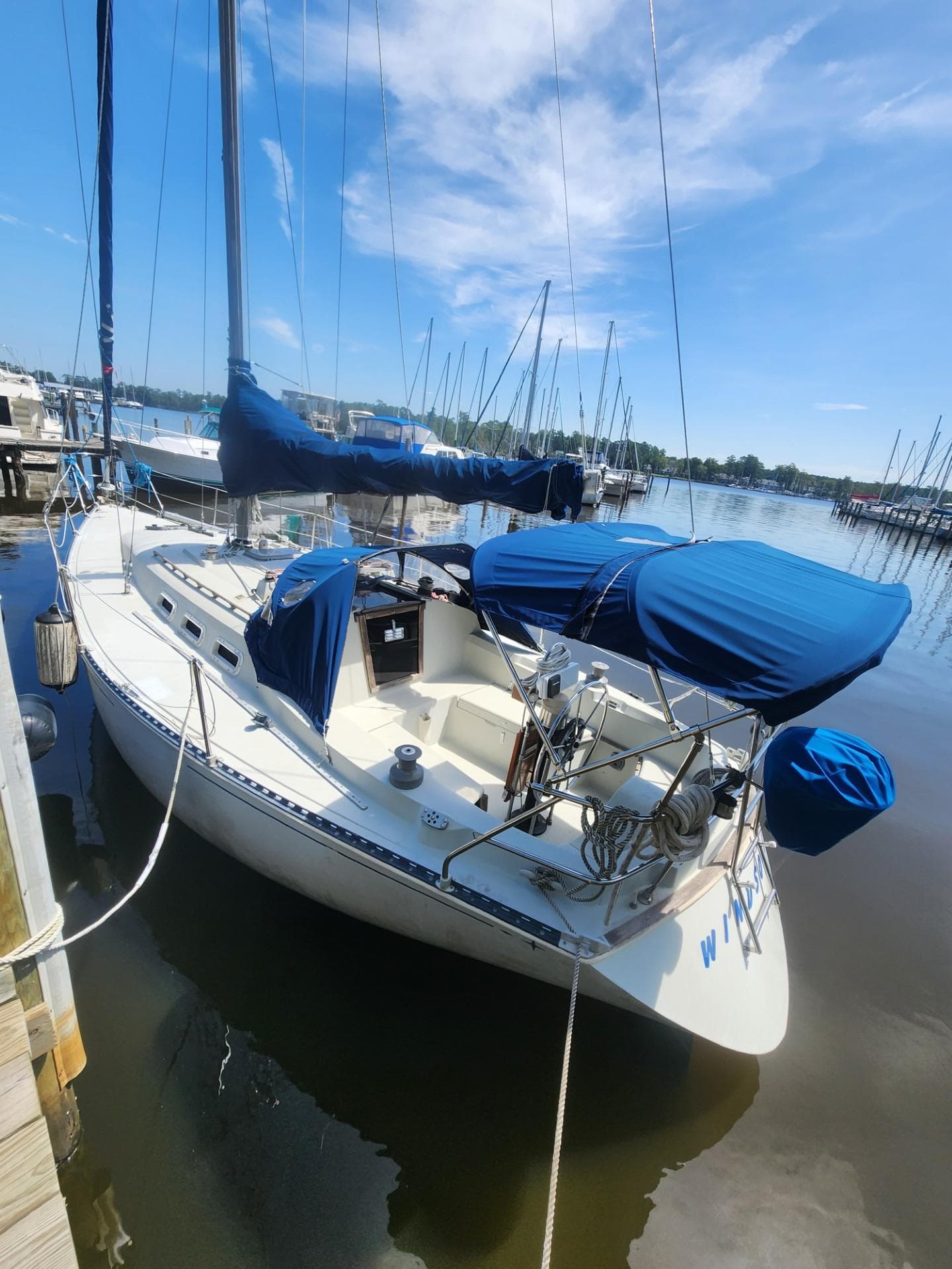 1982 C&C 34 sailboat docked, featuring blue covers and clear sky background.