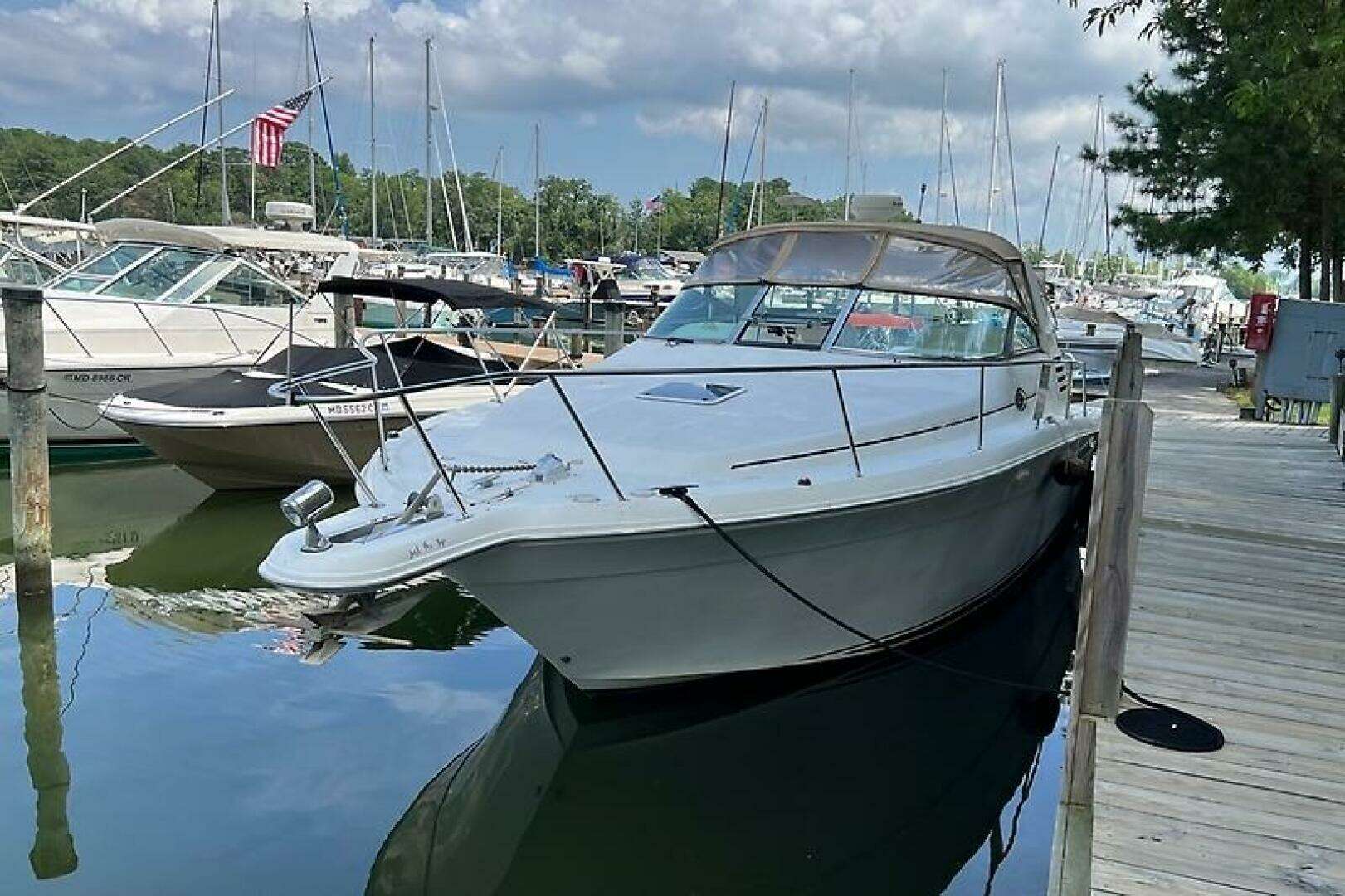 2001 Sea Ray 340 Amberjack - Image 5