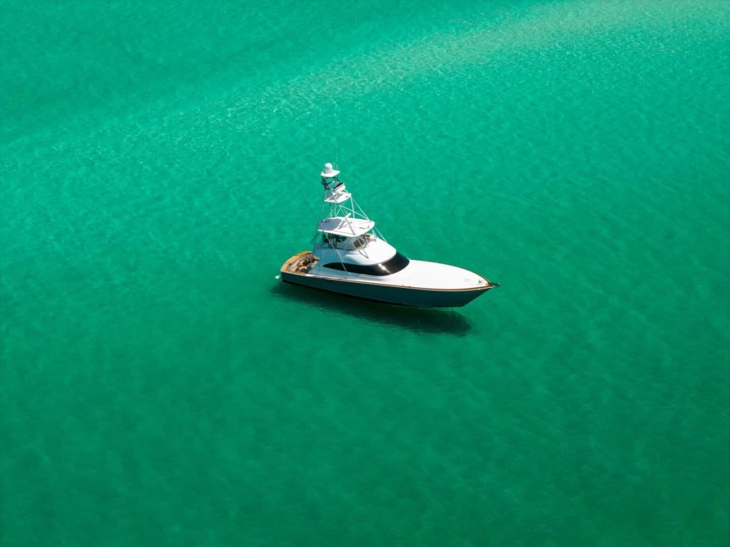 2015 Viking 62 Convertible - Image 41