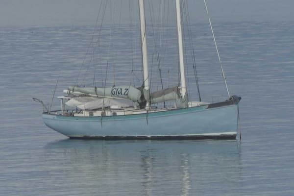 2010 Custom FS50 - Image 1