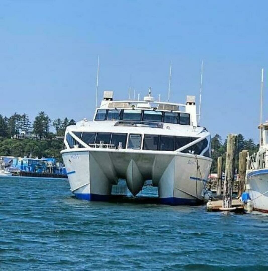 2008 Custom High Speed 70pax COI Passenger - Image 7