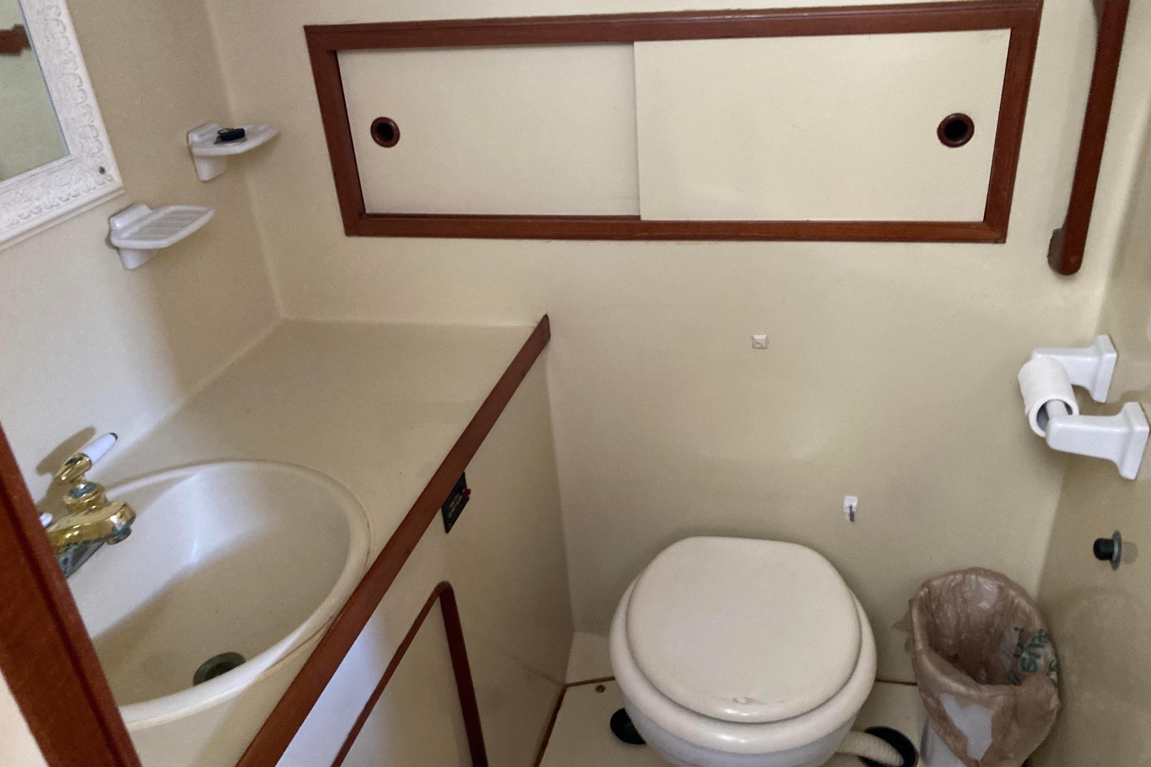 Bathroom interior of 1988 Albin 43 Trawler with sink and toilet.