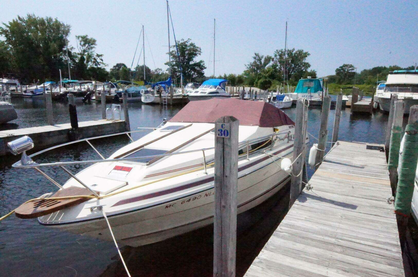 1988 Sea Ray — - Image 3