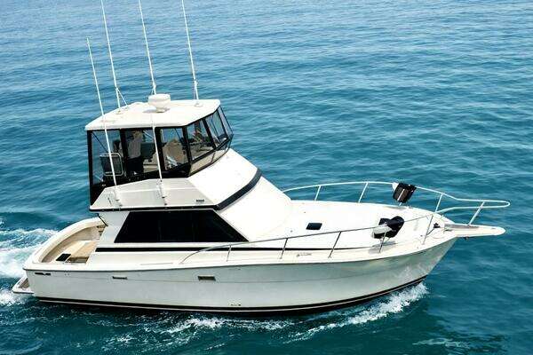 1986 Viking Convertible - Image 1