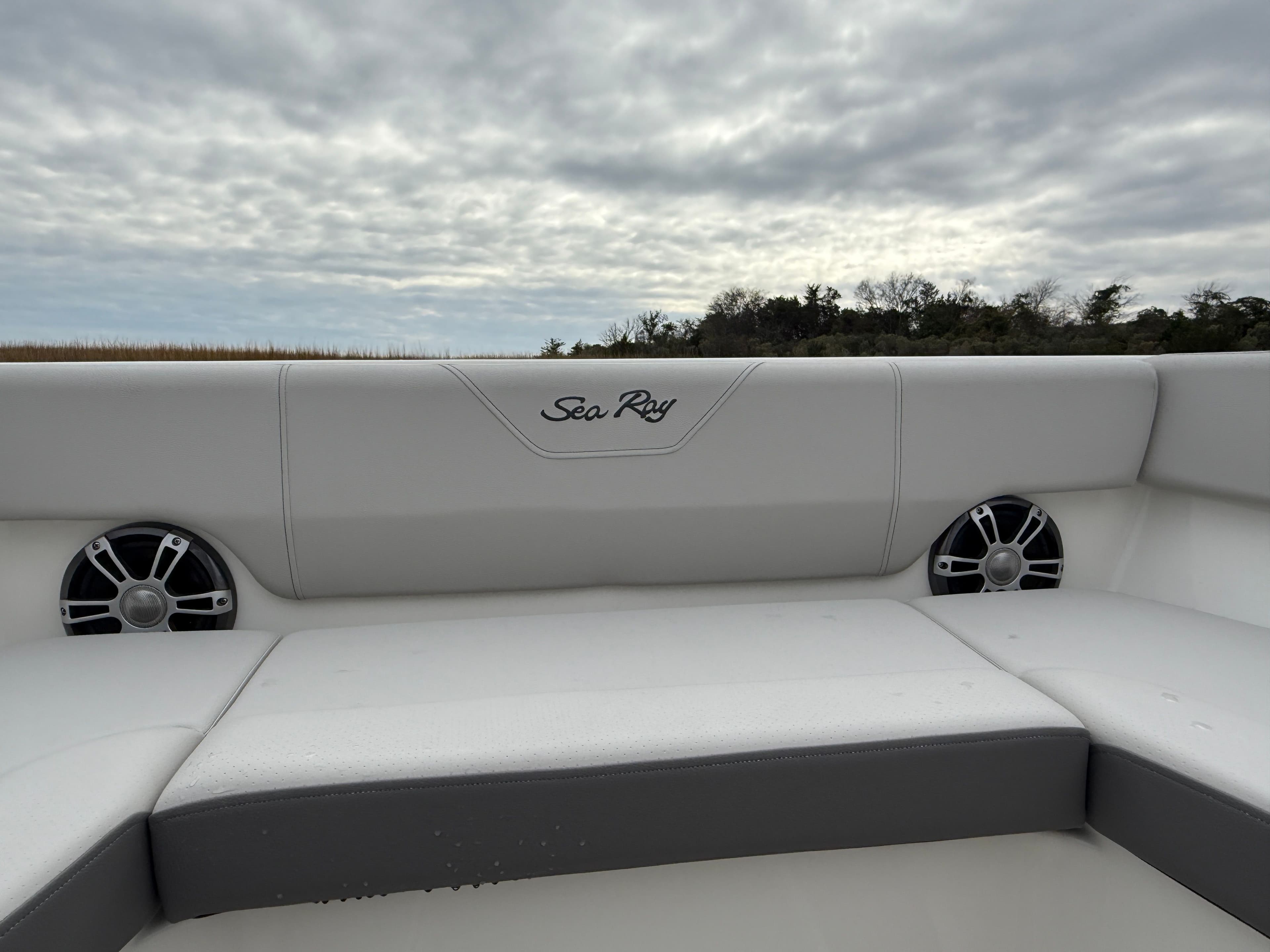 2026 Sea Ray SDX 270 Outboard - 10