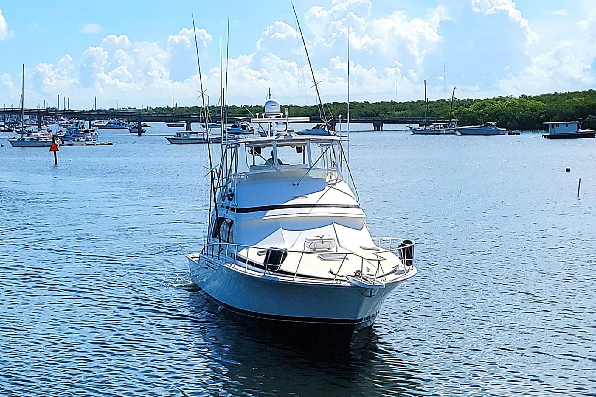 1989 Bertram 50 Convertible yacht on calm water with a scenic marina backdrop.