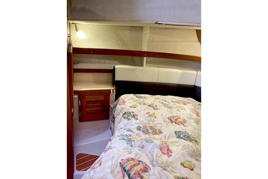 Cozy cabin interior of 2016 Ranger Tugs R-31 with colorful bedding.