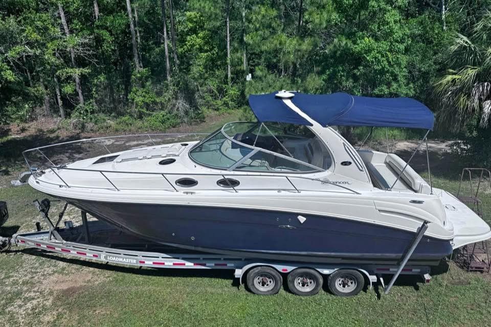 2006 Sea Ray 300 Sundancer boat on trailer, surrounded by lush greenery.