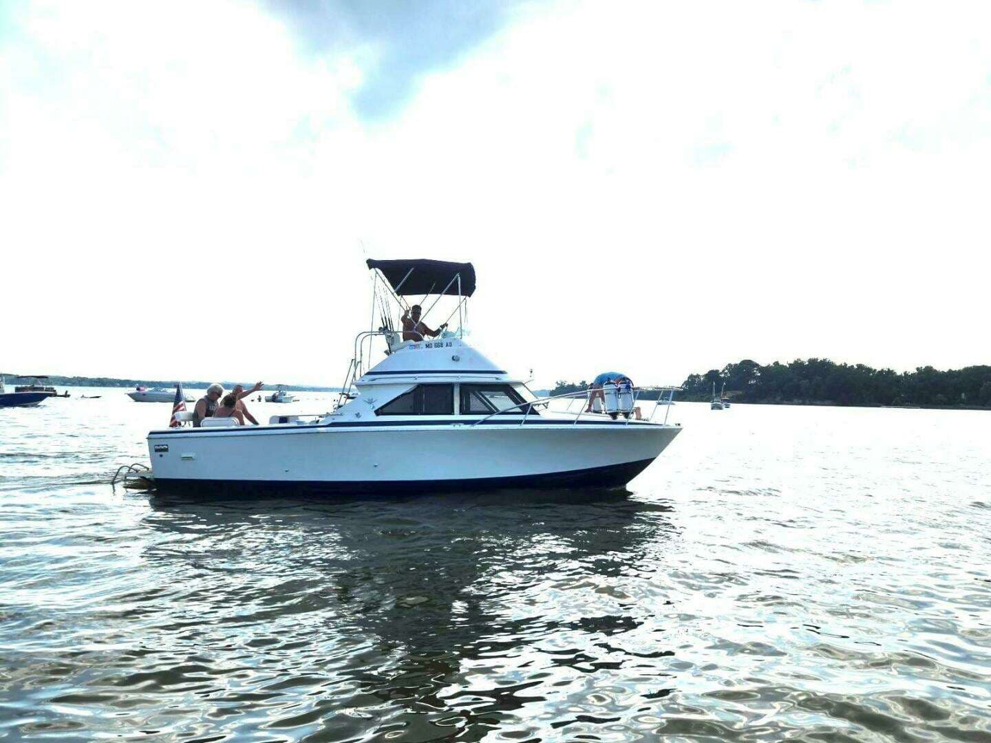 1983 Bertram 28 Flybridge - Image 2