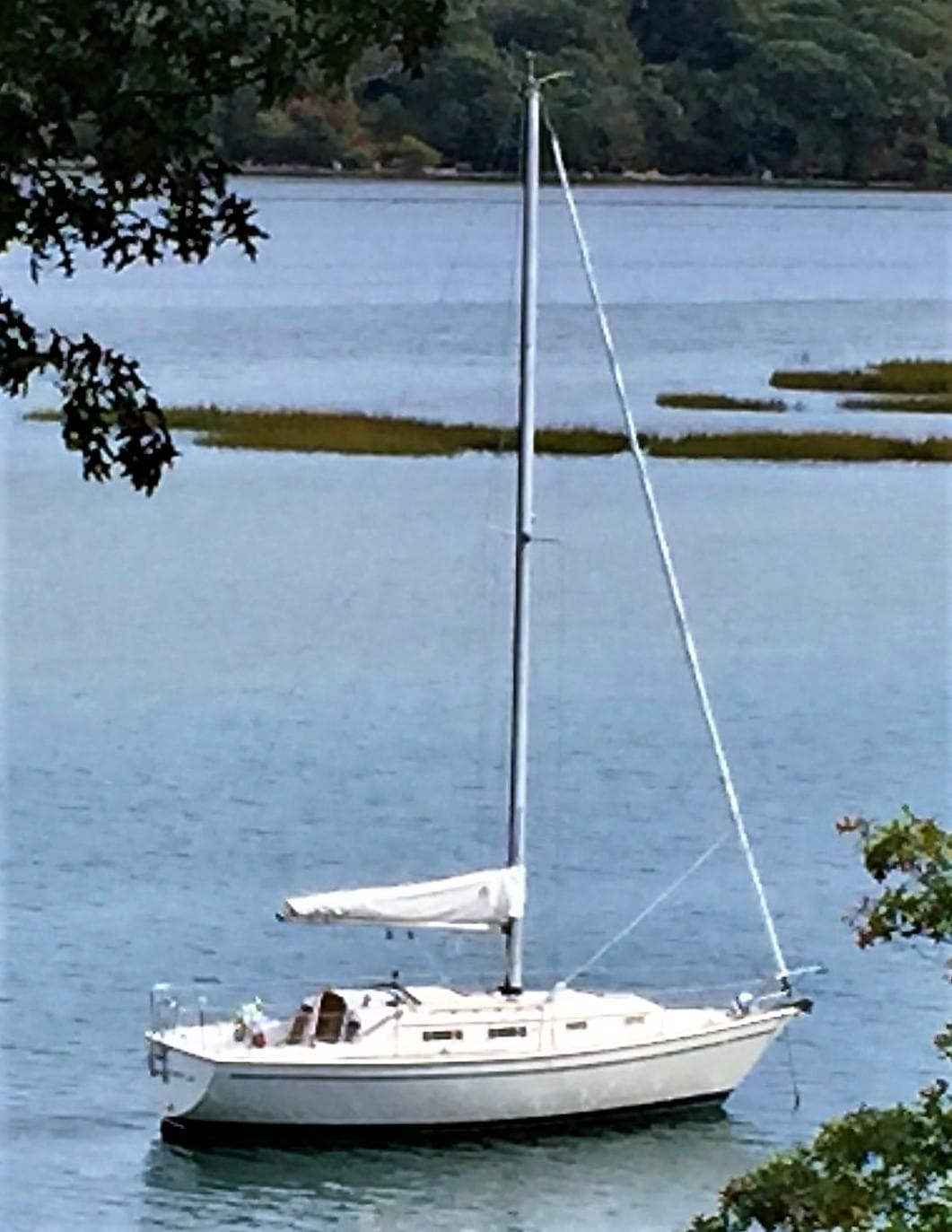 1986 Pearson 303 sailboat anchored on a serene lake with lush greenery.