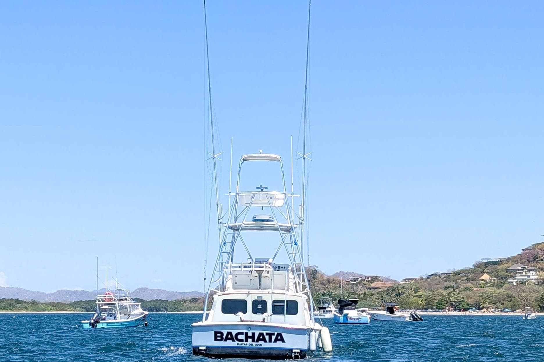 1973 Bertram 31 Sportfisher boat named "Bachata" on the water, clear sky background.