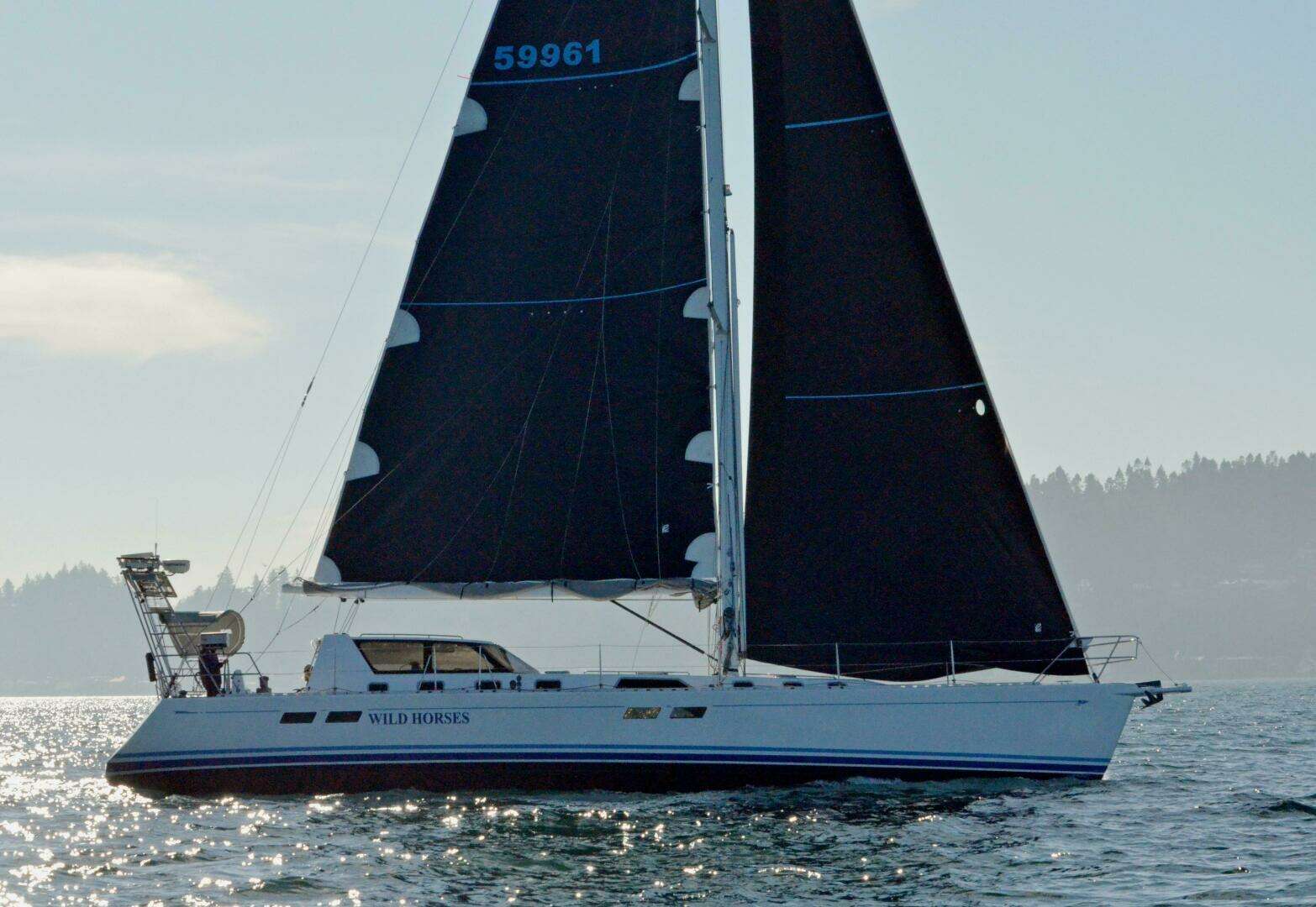 1997 Robert Perry 61 - Image 3