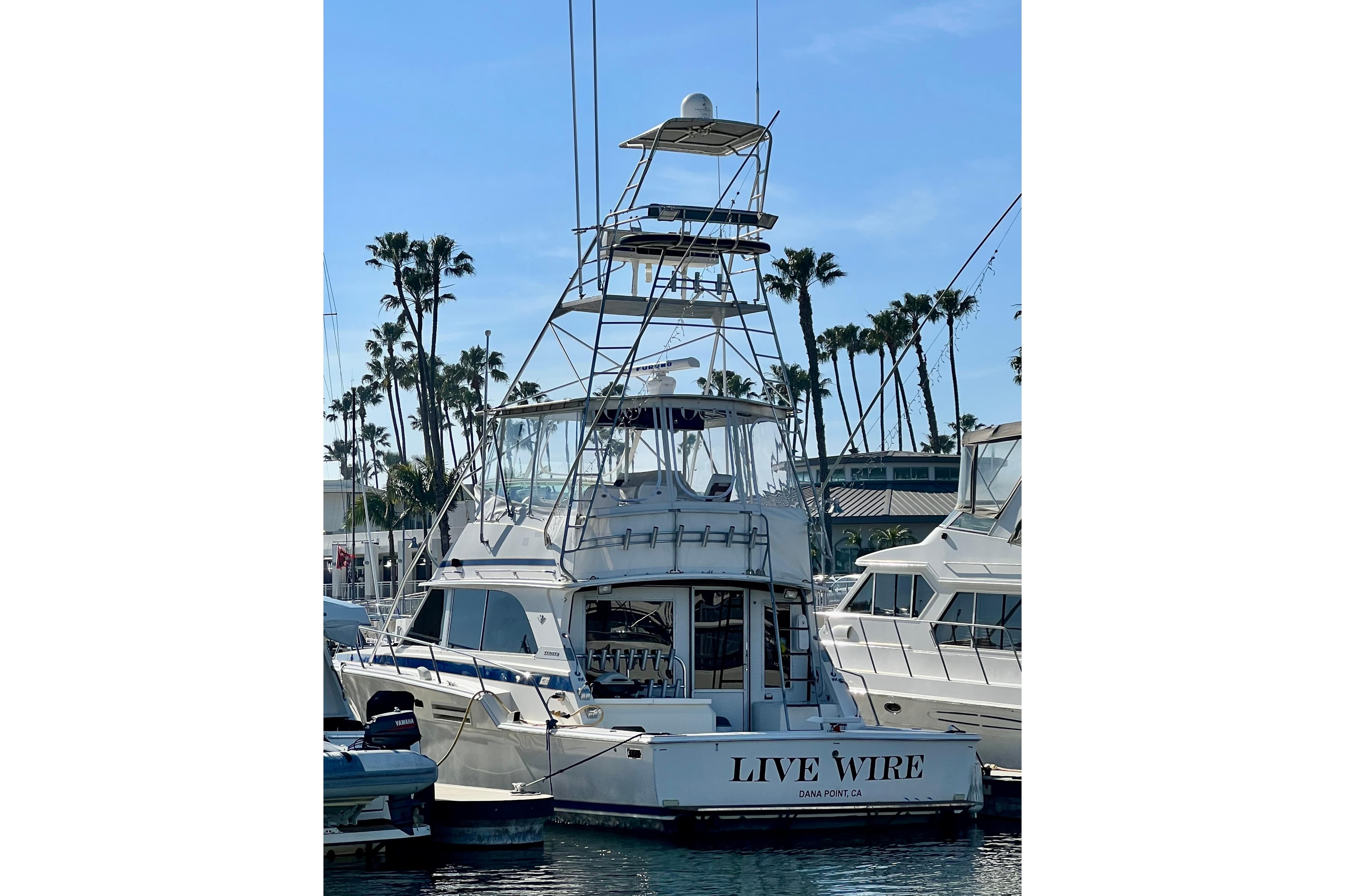 1982 Bertram 46 Convertible yacht "Live Wire" docked in marina, palm trees in background.