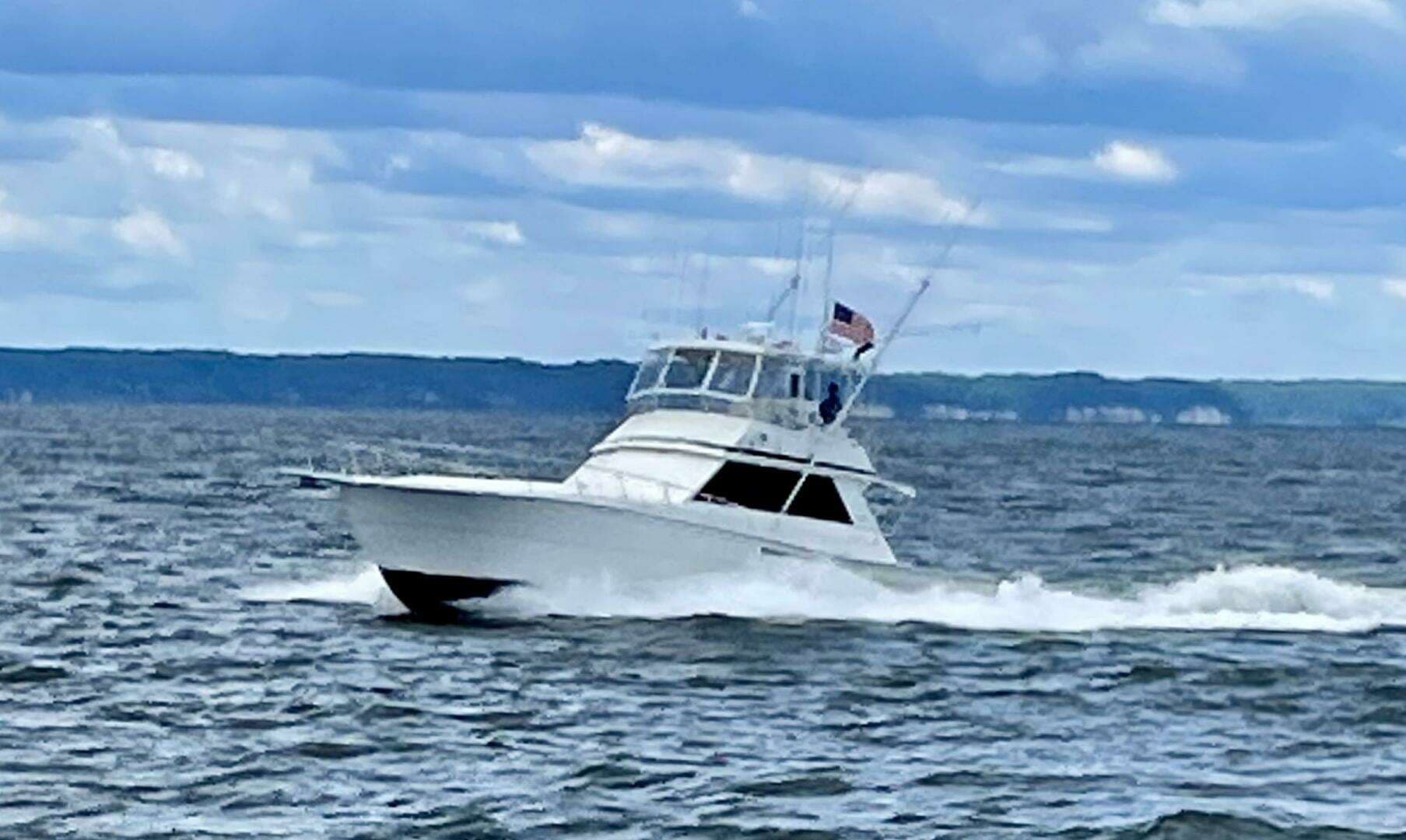 1989 Viking — - Image 25