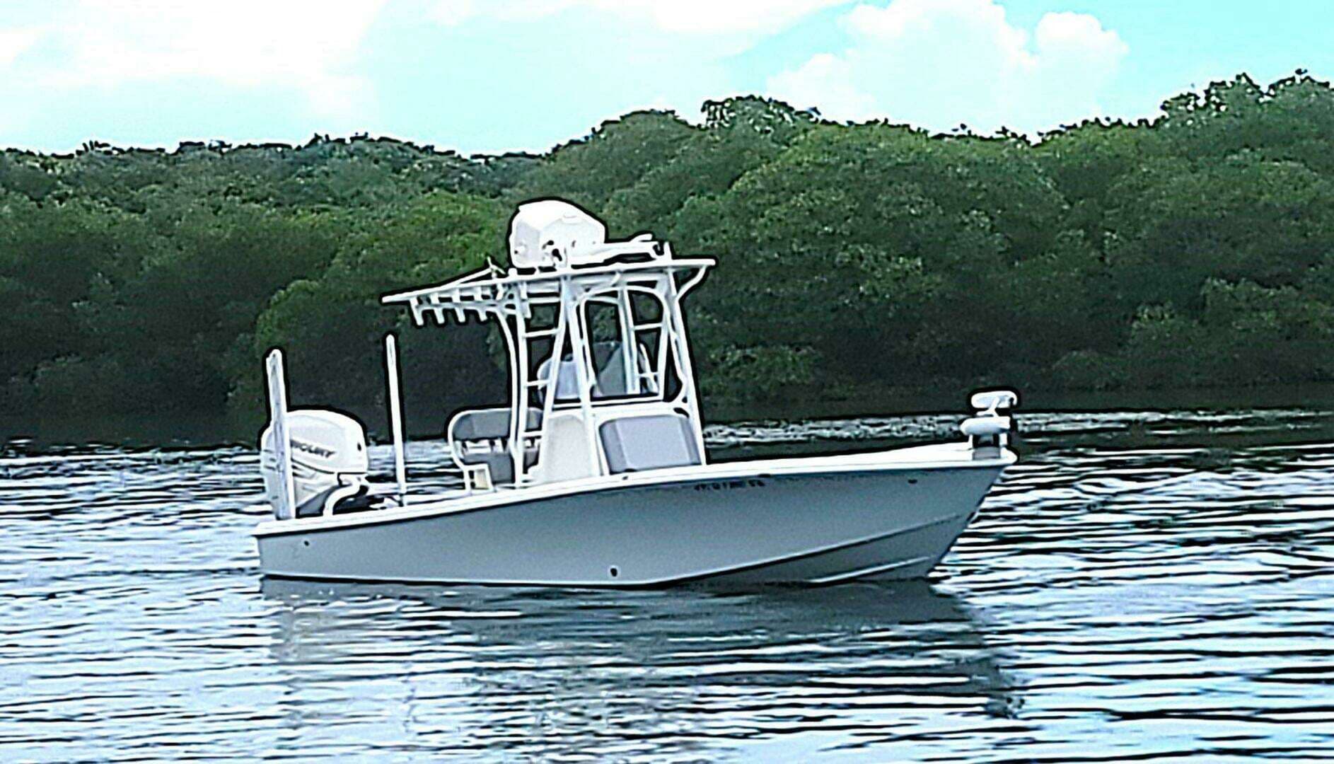 2017 SeaVee 270Z - Image 2