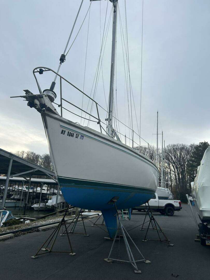 1985 Catalina 36 Tall Rig - Image 6