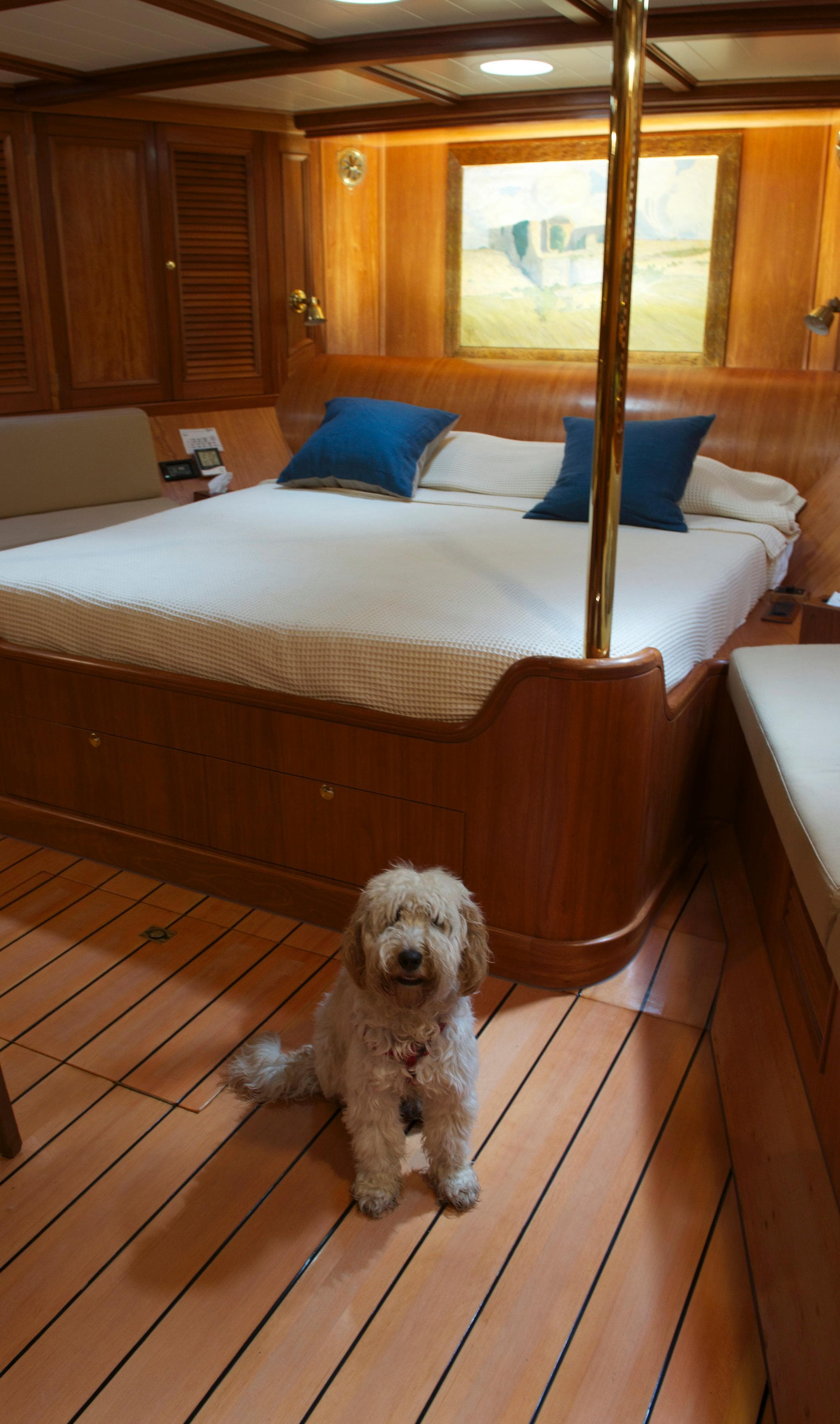 Luxurious cabin interior of 1920 J.P. Smit Motorsailer Schooner with dog on wooden floor.