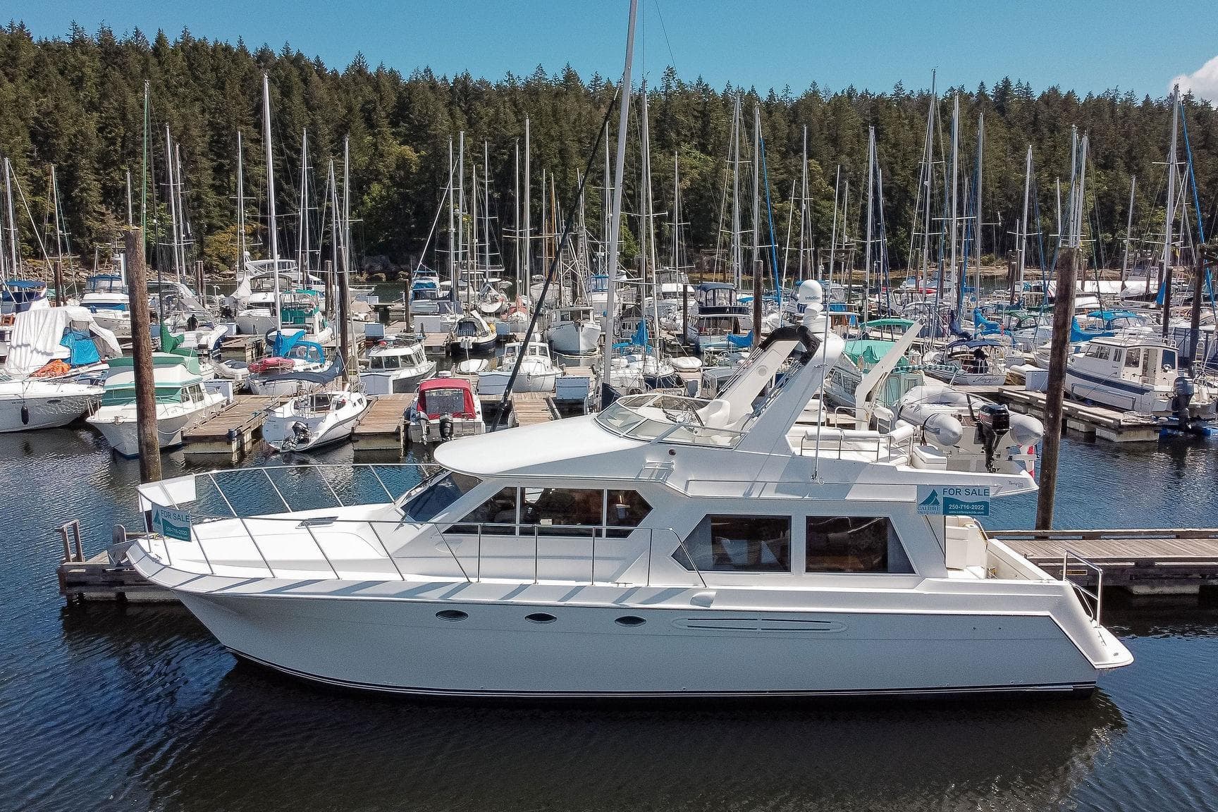 2000 Navigator 4800 yacht docked at marina, surrounded by sailboats and trees.