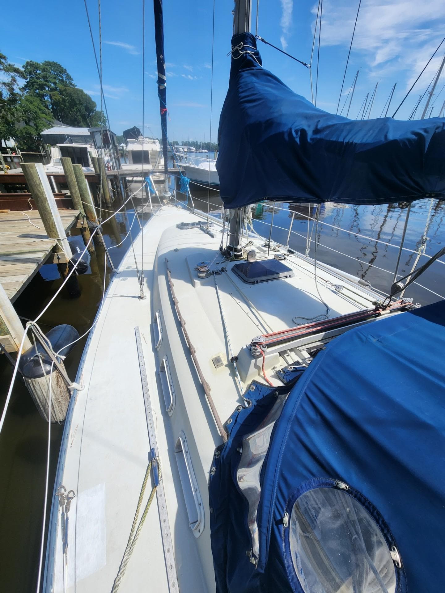 1982 C&C 34 sailboat docked, featuring blue sail covers and a clean deck.