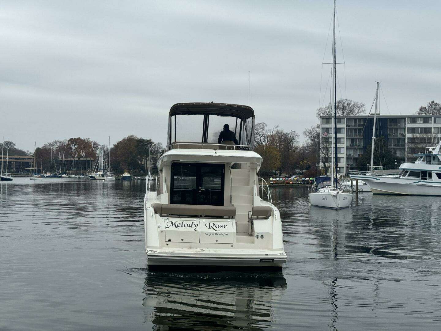 2016 Carver C34 Command Bridge - Image 5