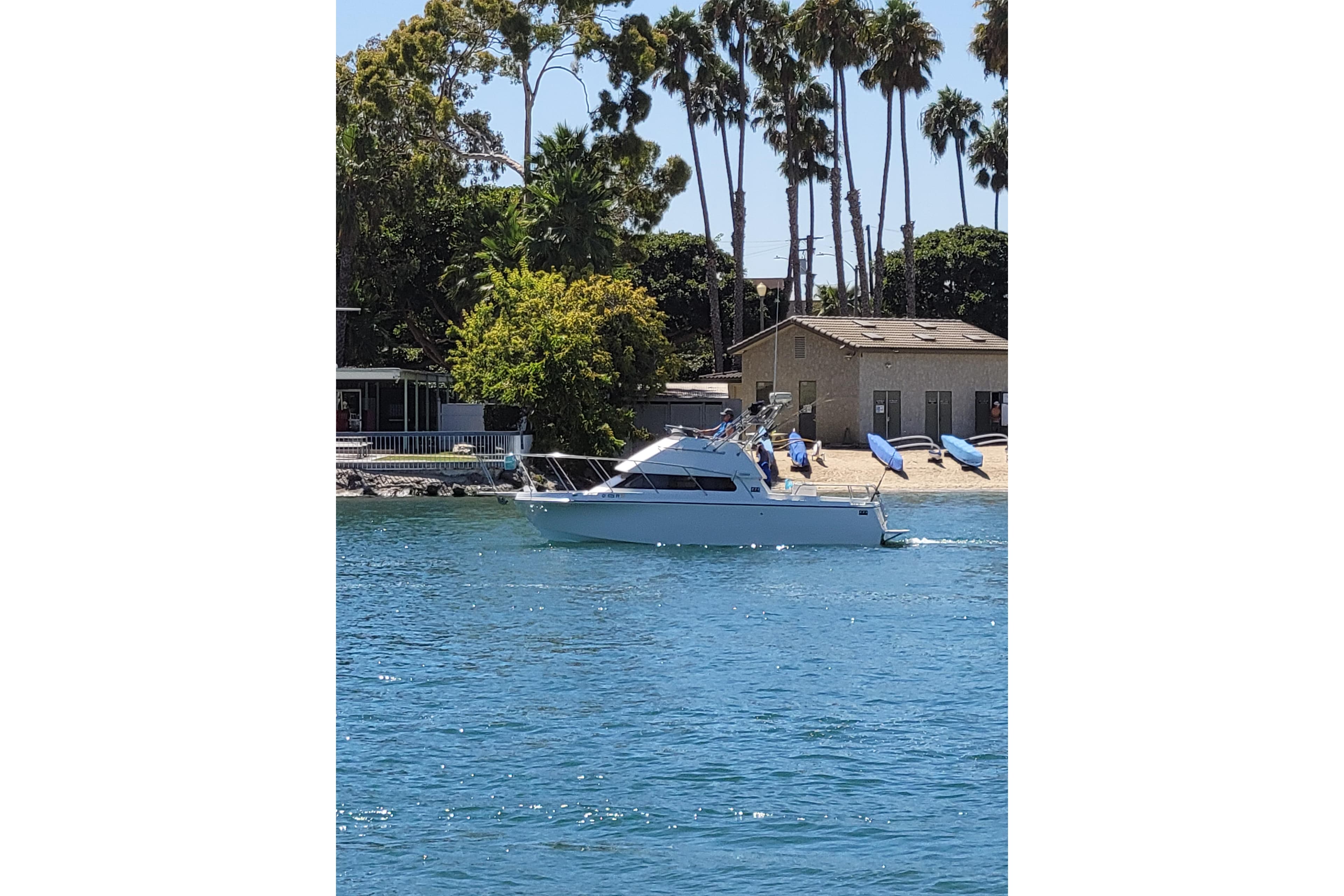 2001 Skipjack 262 Flybridge boat cruising near a sandy shore with palm trees.