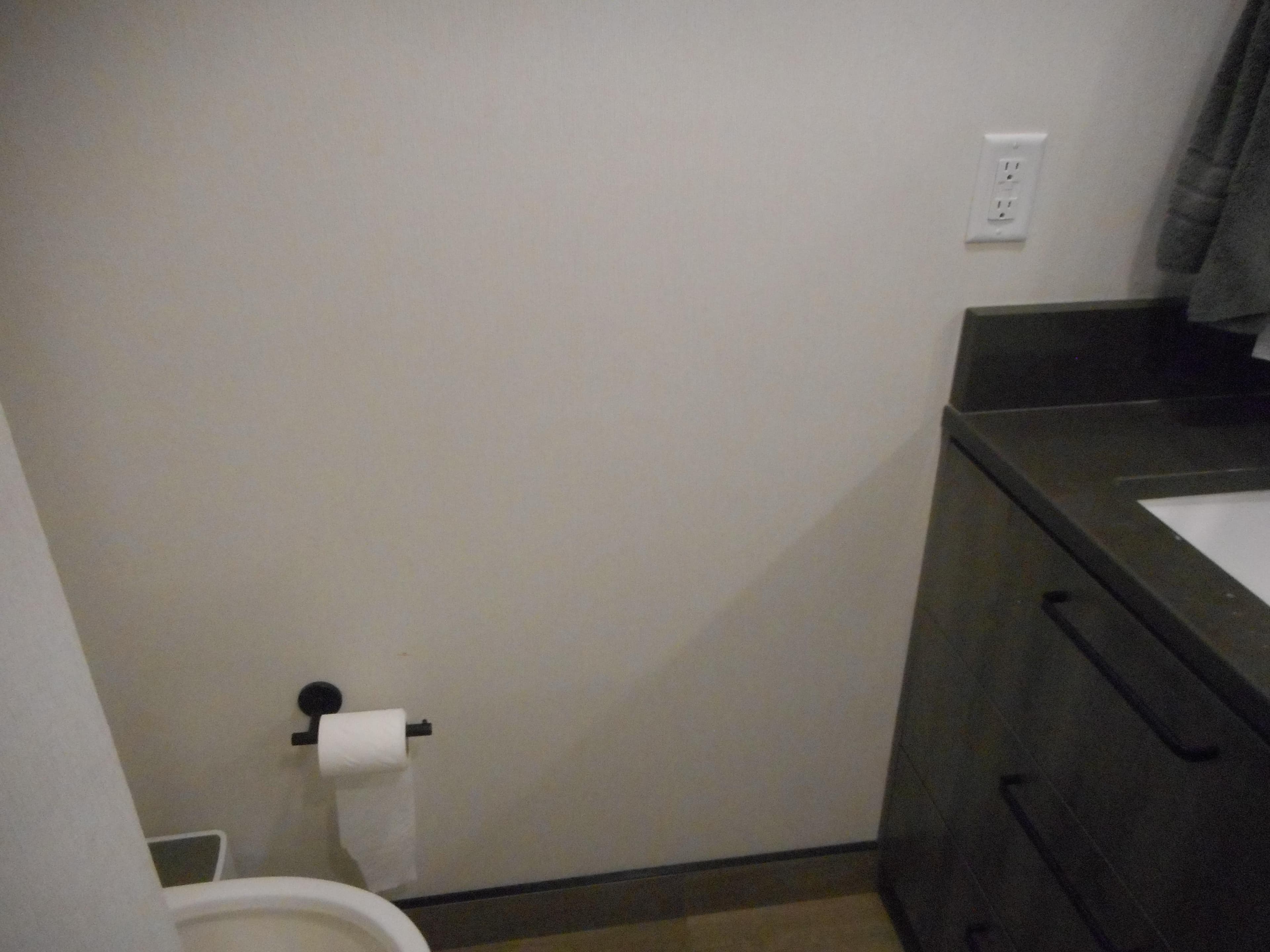 Modern bathroom with toilet, toilet paper holder, and dark vanity. Adonia Obsession Trip #12, 2021.