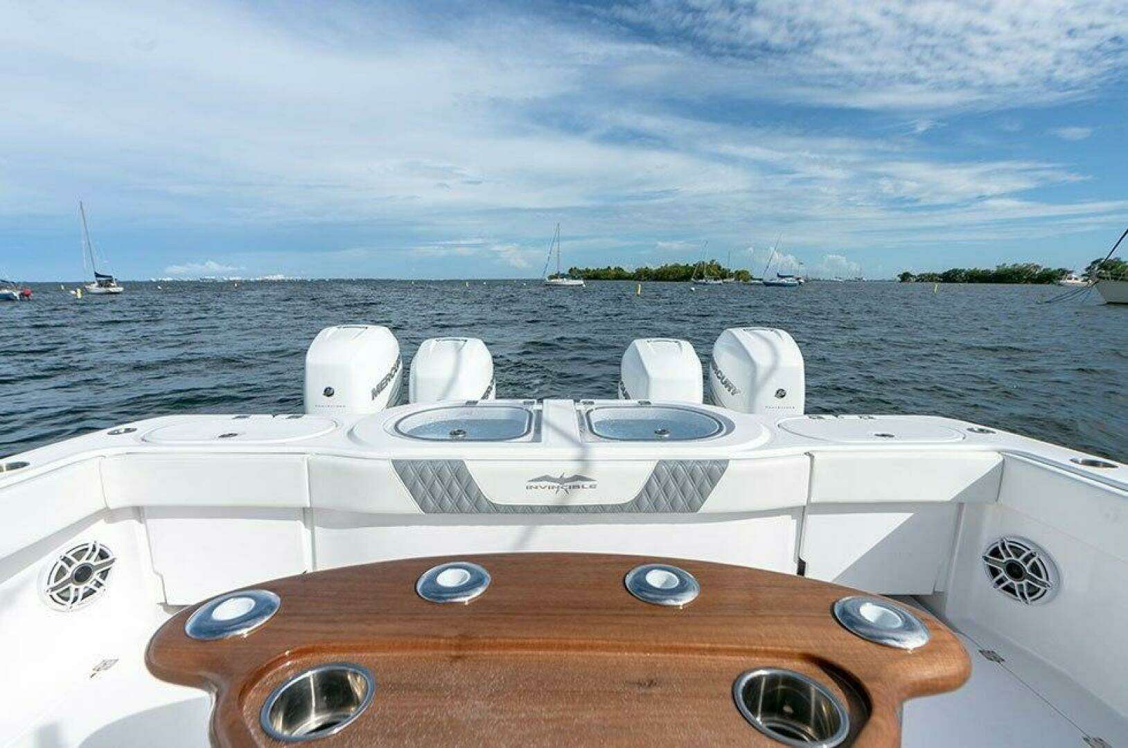 2026 Invincible 46 Catamaran - Image 16