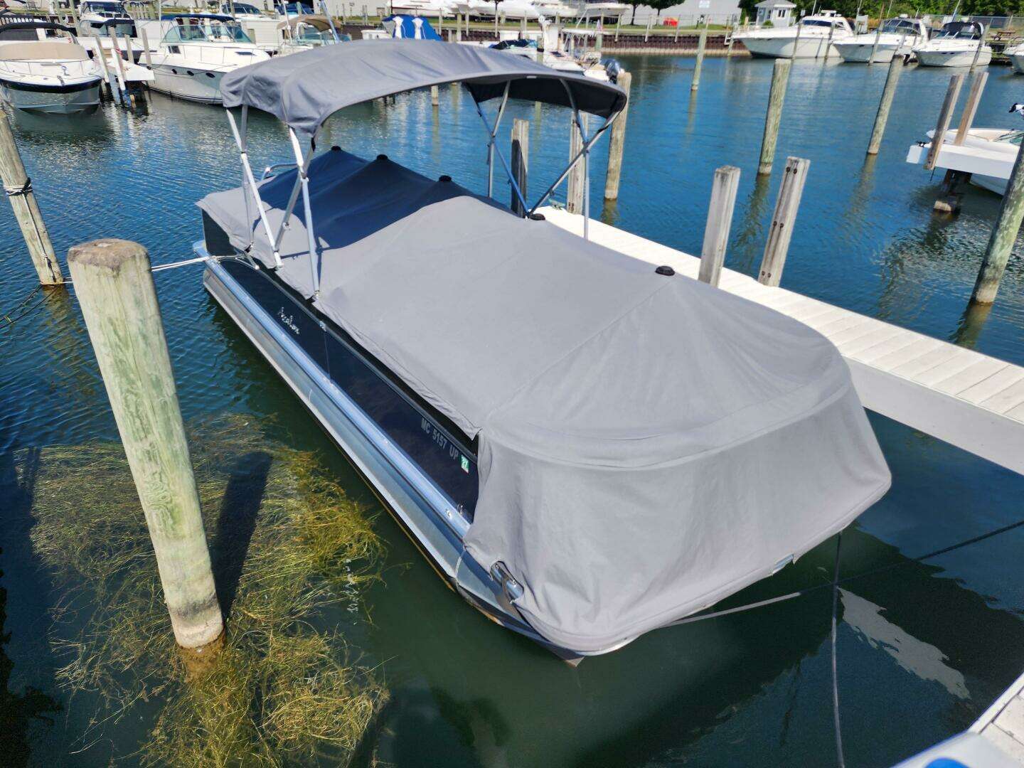 2021 Avalon — - Image 2