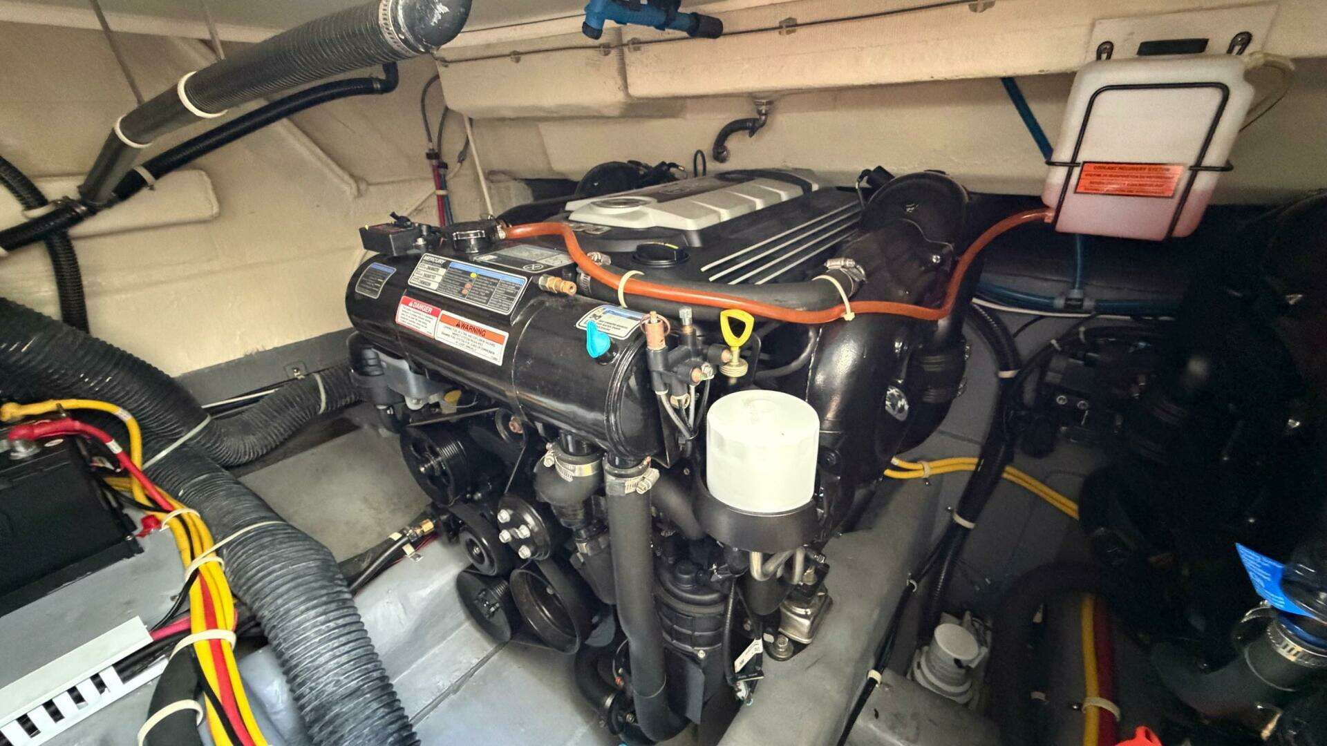 2019 Carver C34 - Image 32