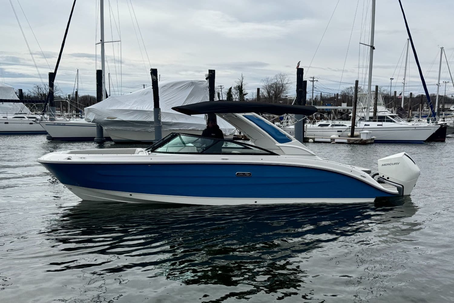 2026 Sea Ray SDX 250 Outboard - 43
