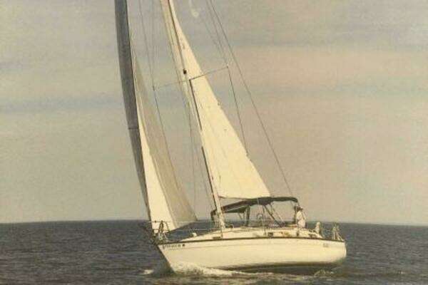 1987 S2 35C - Image 1